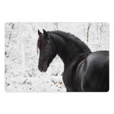 Snowy Winter Scenery Pet Mat