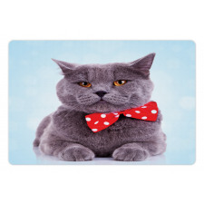 Grey Scottish Fold Theme Pet Mat