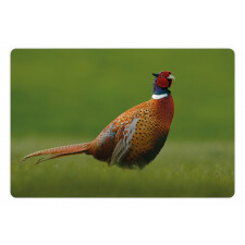 Pheasant Long Tail Meadow Pet Mat