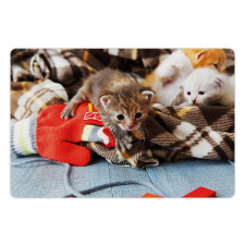 Kittens Mittens Baby Toys Pet Mat