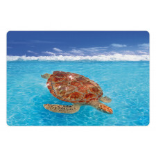 Chelonia Water Surface Pet Mat