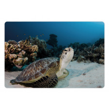 Turtle Coral Reef Pet Mat