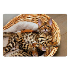 Bengal Cats in Basket Pet Mat