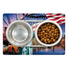 USA Touristic Concept Pet Mat