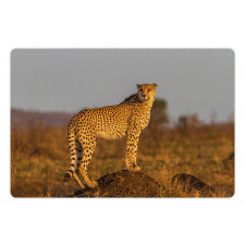 Wild Cheetah Pet Mat