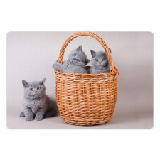 British Cats in Basket Pet Mat