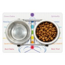 7 Main Chakra Meanings Pet Mat