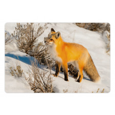 Red Fox in Snowy Nature Pet Mat