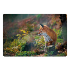 Young Wild Fox in Woodland Pet Mat