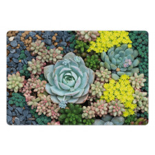 Miniature Plants Stones Pet Mat