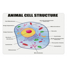 Animal Cell Study Pet Mat