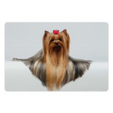 Groomed Hair Pet Mat