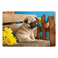 Puppy Photography on Bench Pet Mat