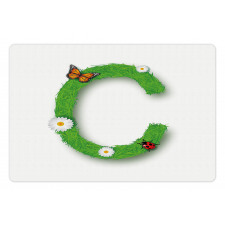 C with Grass Greenland Pet Mat