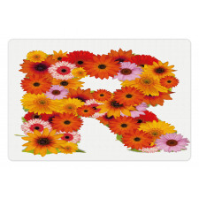 Gerbera Daisies Style Pet Mat