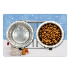 Winter Christmas Time Pet Mat