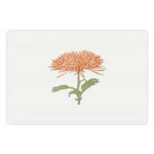 Retro Blooming Nature Pet Mat