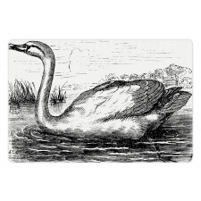 Hand Drawn Swan Design Pet Mat