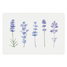 Watercolor Rural Herbs Pet Mat