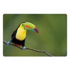 Keel Billed Toucan Pet Mat