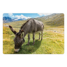 Donkey Eating Grass Mountain Pet Mat