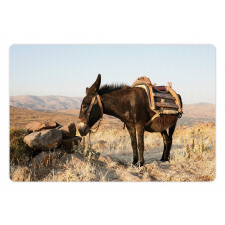 Greek Donkey in Mountains Pet Mat