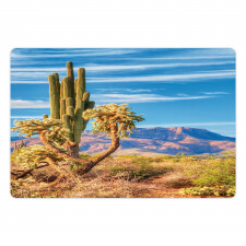 Landscape and Prickle Plant Pet Mat