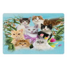 Cats Feline Domestic Pet Mat