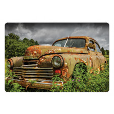 Discarded Rusty Junk Car Pet Mat