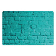 Turquoise Rough Wall Pet Mat