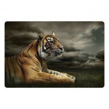 Jungle African Cat Clouds Pet Mat