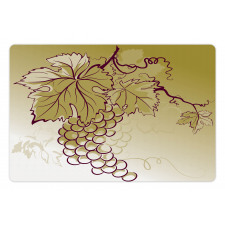 Fruits and Leaves on Ombre Pet Mat