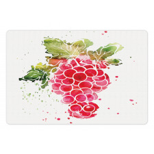 Splashed Watercolor Fruits Pet Mat