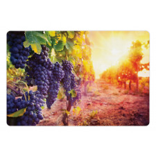 Grape in Countryside Vineyard Pet Mat