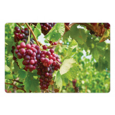 Bunch of Wine Fruits Foliage Pet Mat