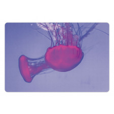 Sea Creature Beauty Float Pet Mat