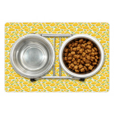 Fruit Basket Yummy Healthy Pet Mat