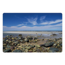 Plum Island Beach Pet Mat