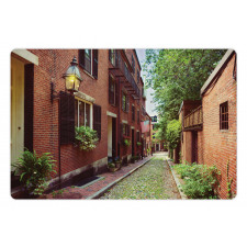 Historic Acorn Street Pet Mat