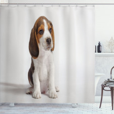 Beagle Duş Perdesi Sevimli Minik Yavru Hayvan Fotoğrafı Deseni