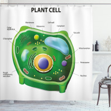 Öğretici Duş Perdesi Bitki Hücresi Desenli