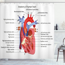 Öğretici Duş Perdesi İnsan Kalbi Desenli