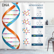 Öğretici Duş Perdesi Turuncu Mavi DNA