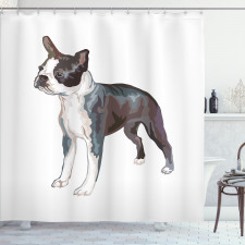 Köpek Duş Perdesi Boston Terrier Türü Havlayan Hayvan Figür