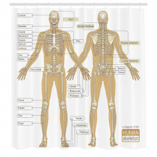 Hobiler Duş Perdesi İnsan İskeleti Desenli