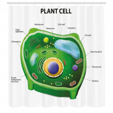 Öğretici Duş Perdesi Bitki Hücresi Desenli