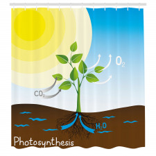 Öğretici Duş Perdesi Fotosentez Desenli