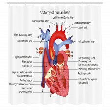 Öğretici Duş Perdesi İnsan Kalbi Desenli