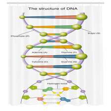 Öğretici Duş Perdesi Gen ve DNA