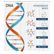 Öğretici Duş Perdesi Turuncu Mavi DNA